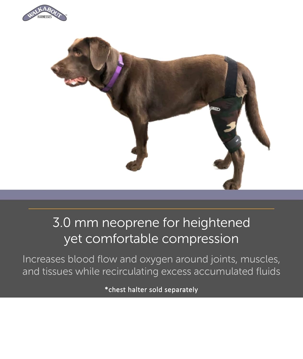 Walkabout Canine Stifle Brace Neoprene Support Sleeve

