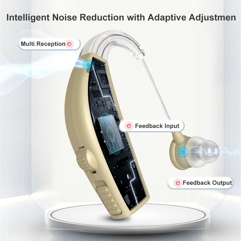 Rechargeable Behind-the-Ear Hearing Aids for Seniors with Noise Cancelling, Up to 25 Hours

