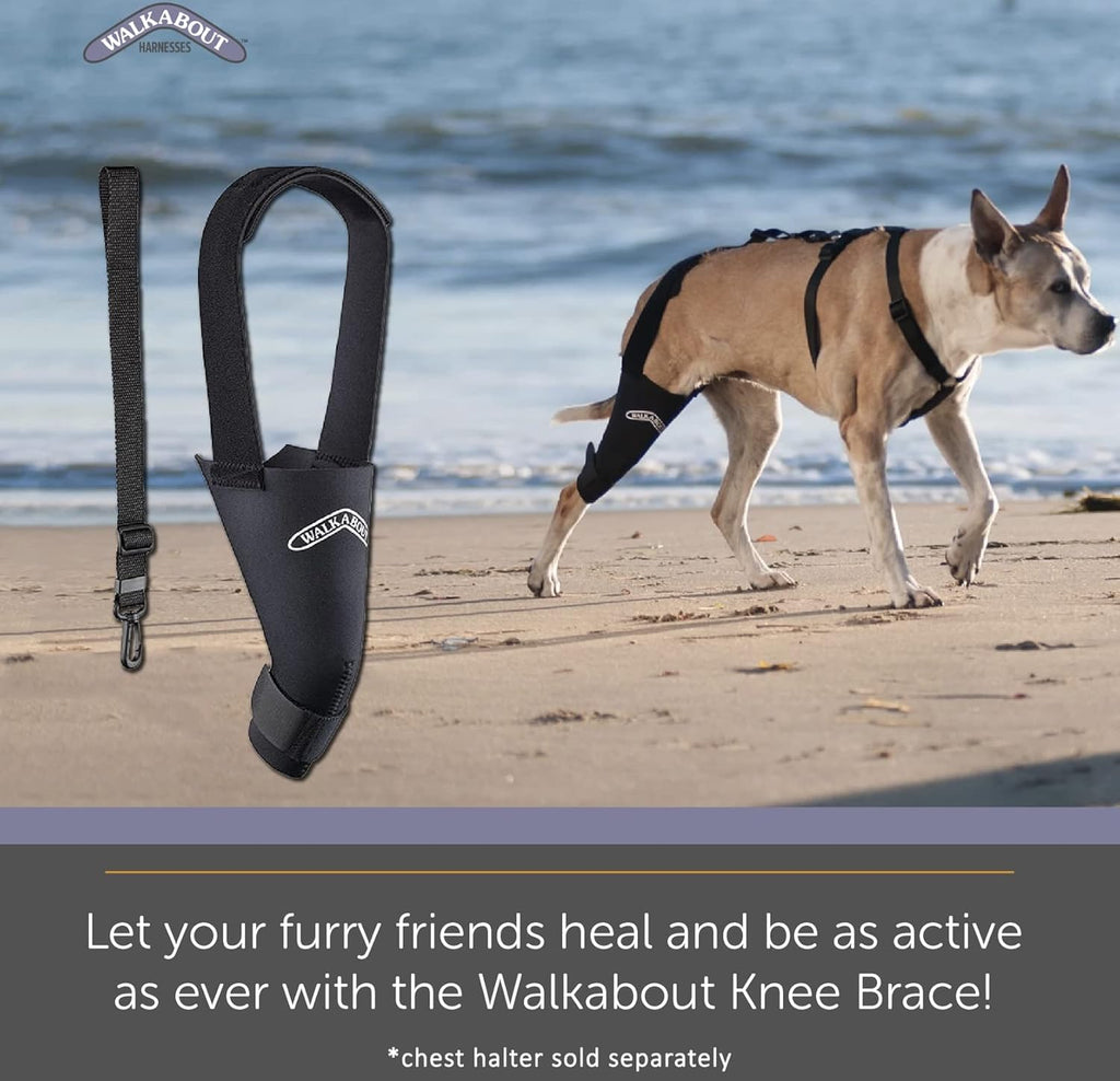 Walkabout Canine Stifle Brace Neoprene Support Sleeve

