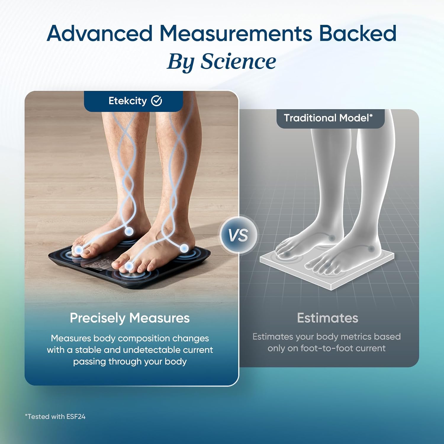 Etekcity Smart Body Weight Scale with BMI, Body Fat, Muscle Mass, 13 Metrics

