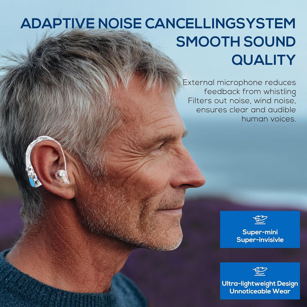 Winter Plum In-Ear Hearing Aid for Seniors with AI Noise Reduction and USB-C Charging

