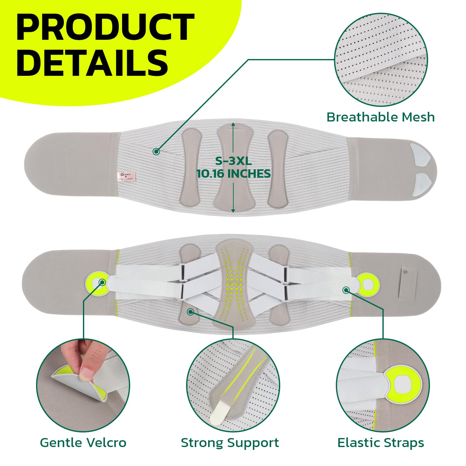 aoFIT 360° Back Brace Lumbar Support Belt for Lower Back Pain, Men and Women

