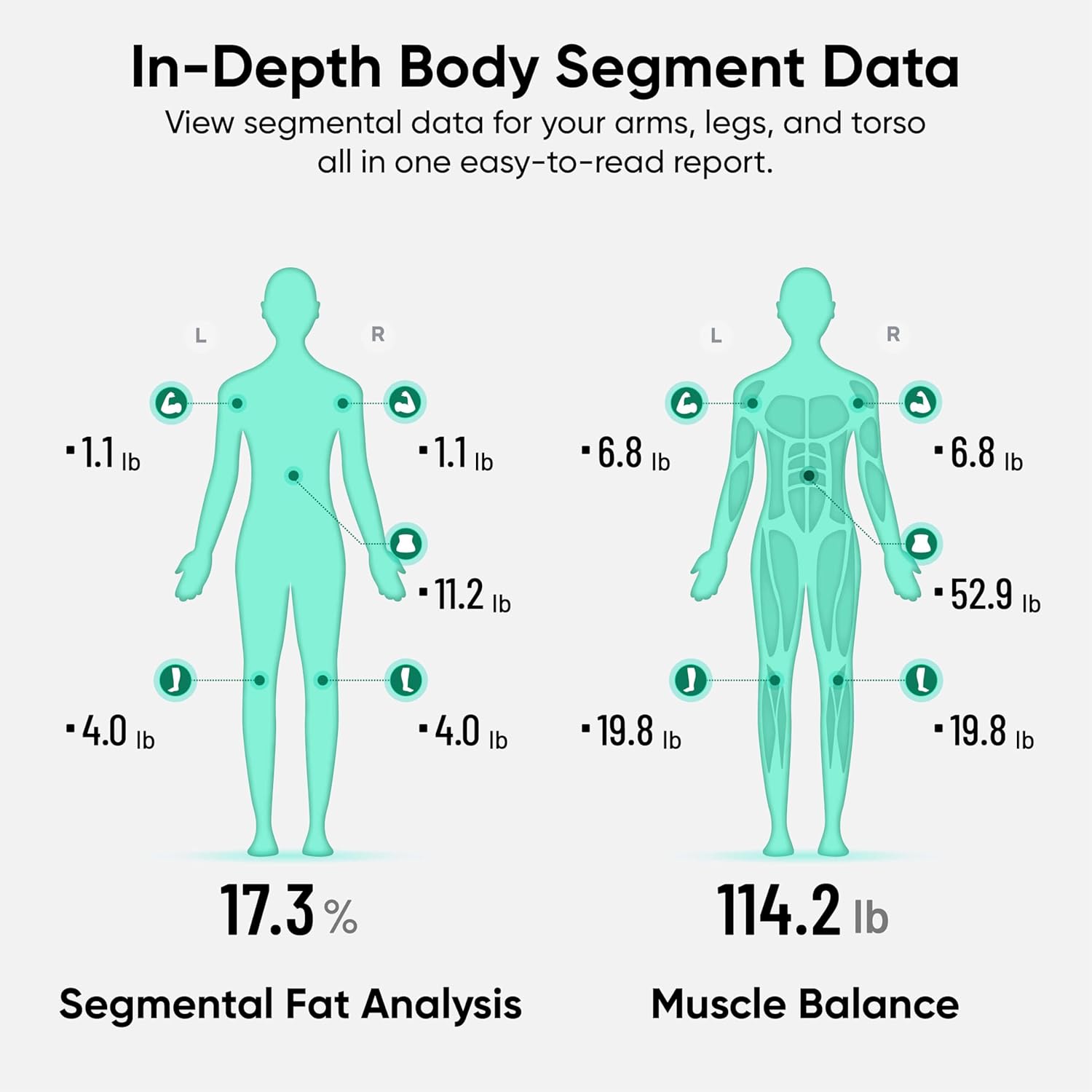 Wyze Smart BodyScan Body Composition Device with Handle, Wi?Fi & Bluetooth

