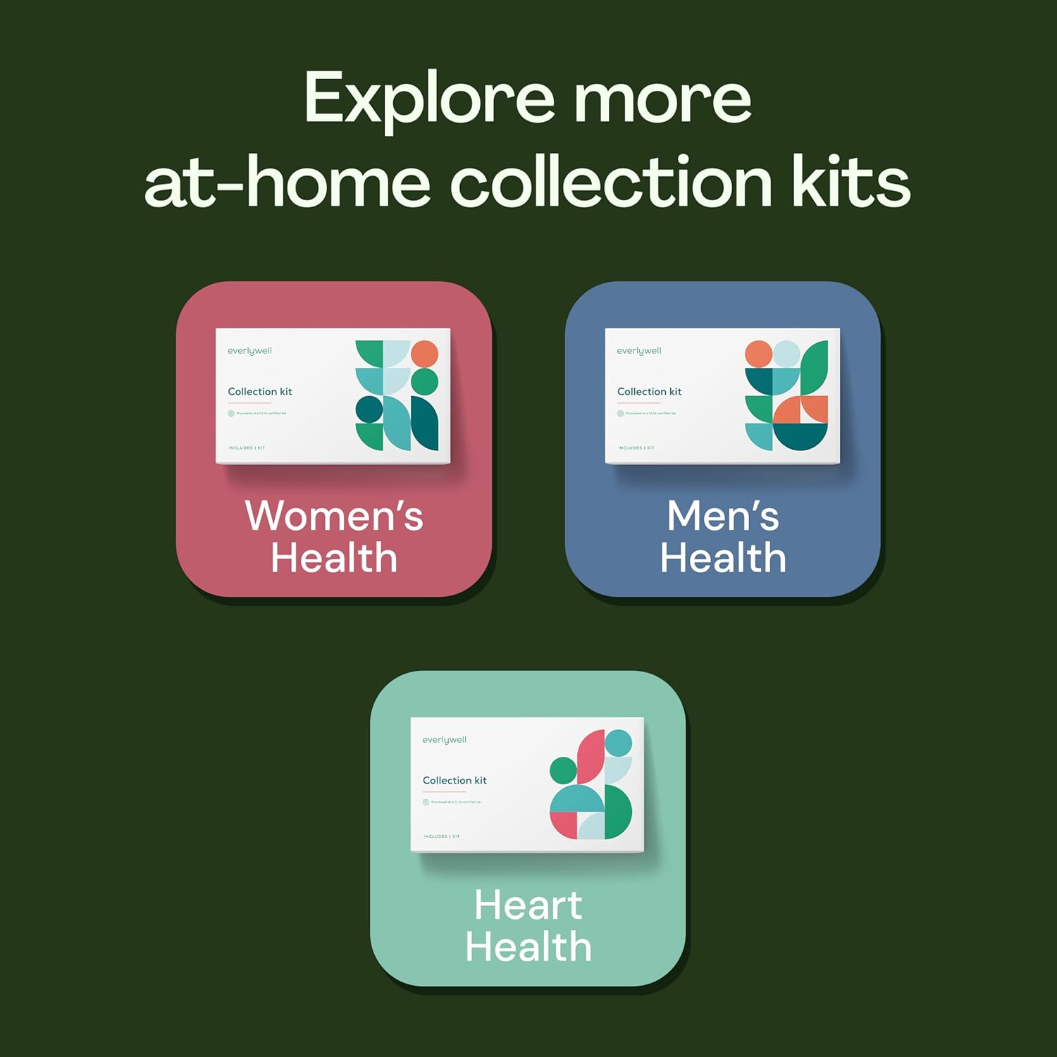 Everlywell Food Sensitivity Test Kit (IgG) for 204 Foods, At-Home Collection

