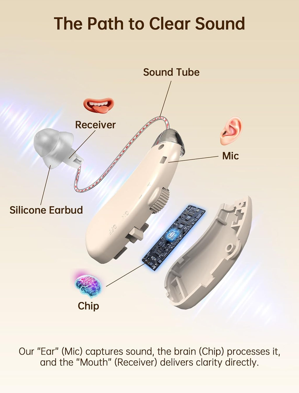 OTC Rechargeable Digital Hearing Aids for Seniors, Noise Cancelling, BTE

