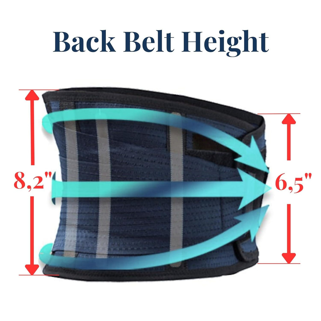AVESTON Lower Back Brace Adjustable Lumbar Support Belt for Men and Women

